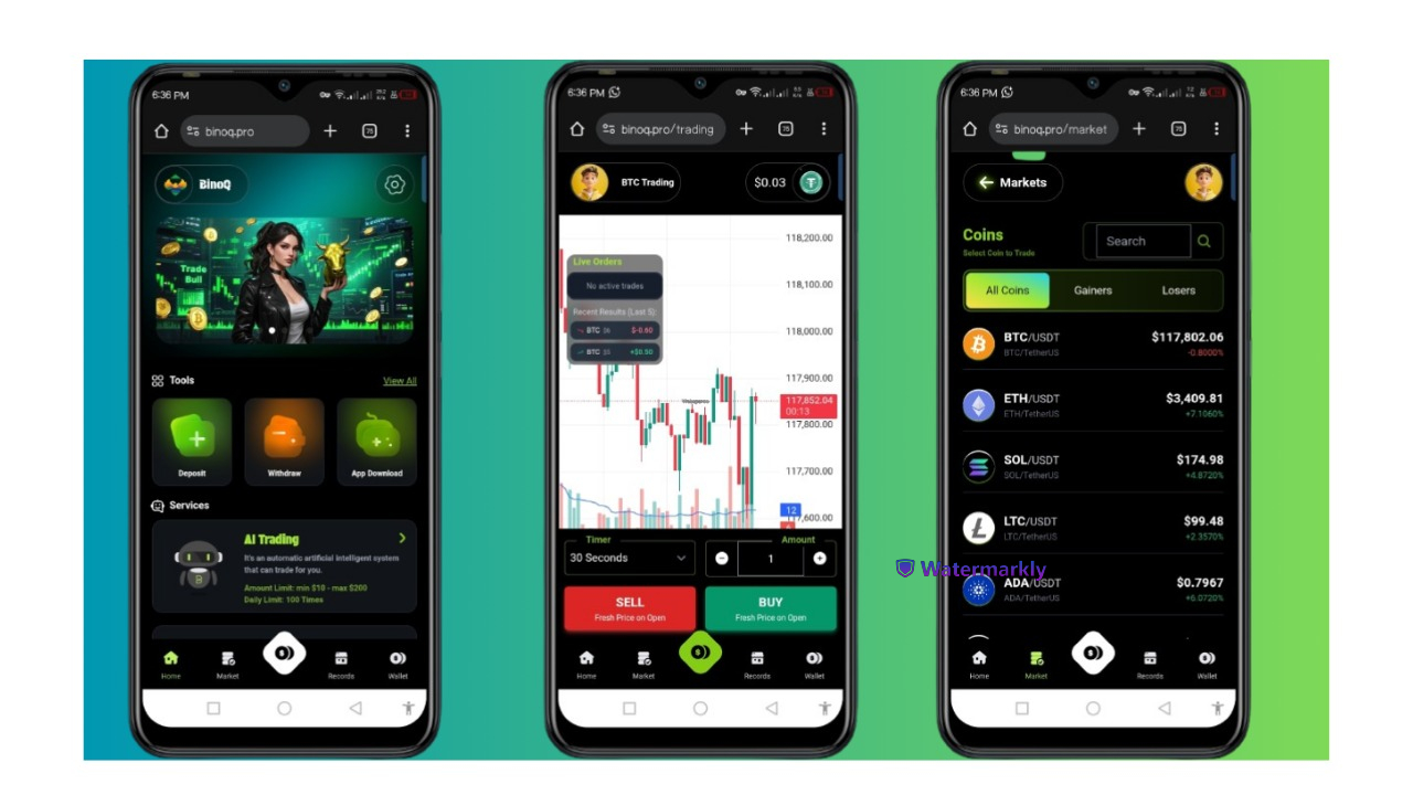 Trade-Bull Binary Tradig Website Binomo Clone